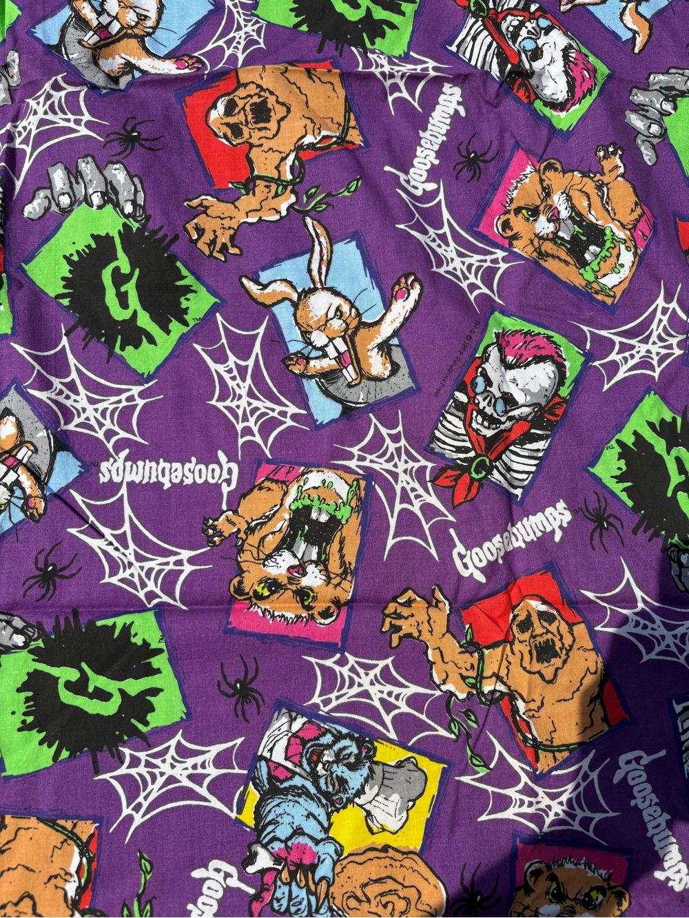 90’s Goosebumps Curtains  NA4